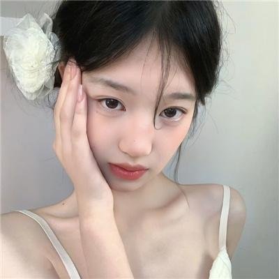 我的朋友是萌鲨